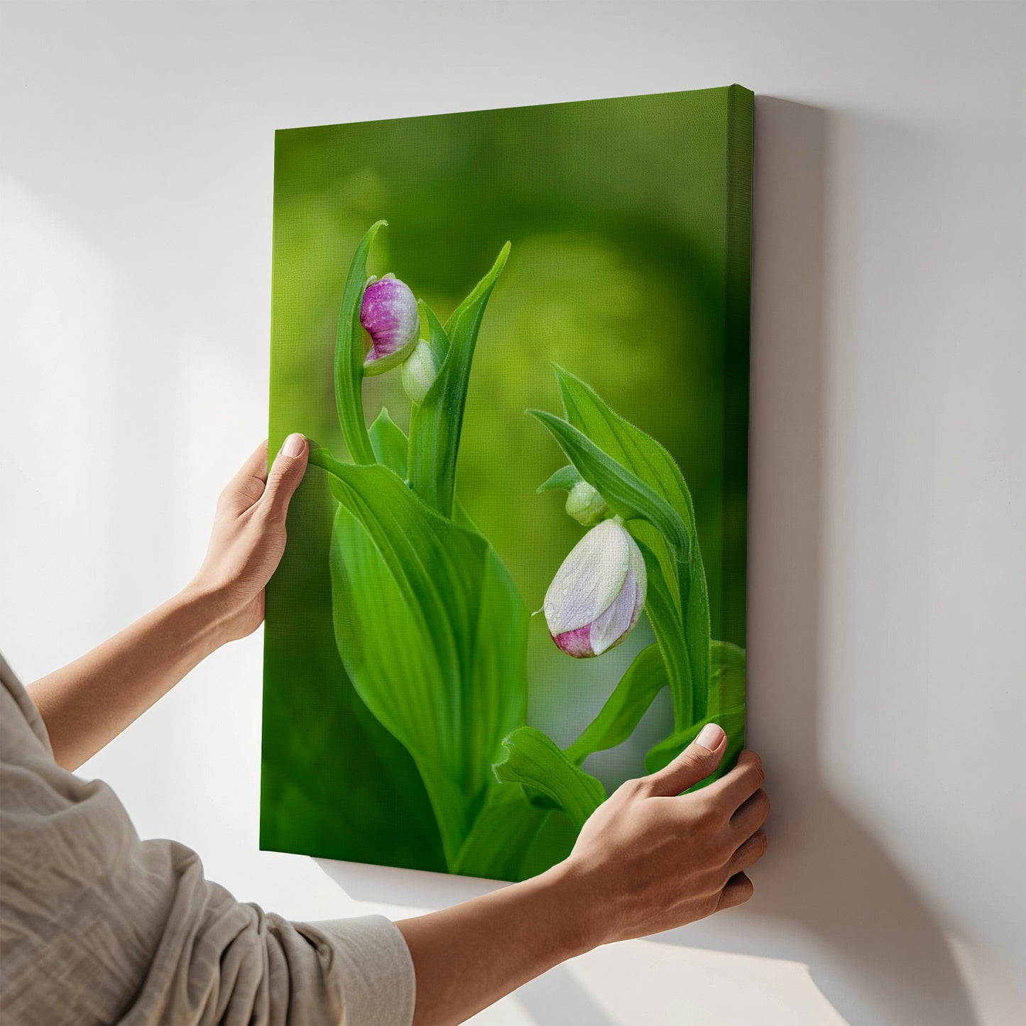 Lady Slipper Orchid Bud Fine Art Print | Michigan Botanical Wall Art